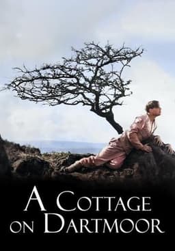 A Cottage on Dartmoor