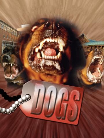 Dogs